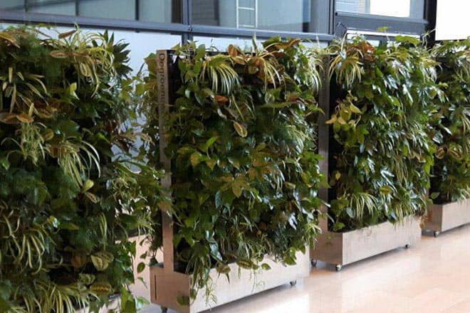 de plantenwand bij het filmfestival Rotterdam is verrijdbaar en akoestiekdempend