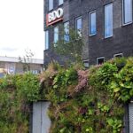 Groene wand buiten 2