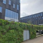 Groene wand buiten 5 Afix