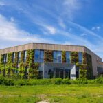 Groene wand buiten 7
