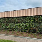 Plantenwand buiten voorbeeld 2