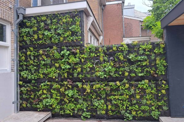 (3) Makkelijk op te hangen