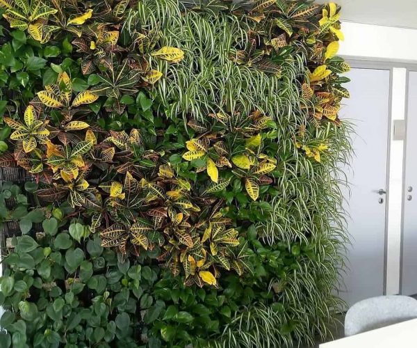 opbouw greenwall