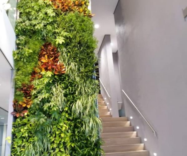 greenwall een verticale tuin met een grote diversiteit aan groene planten en kleurrijke