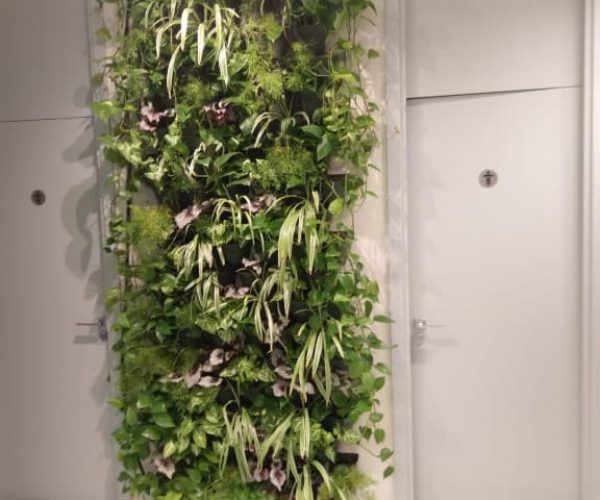 verticale tuin indoor een muur met planten in een bedrijf
